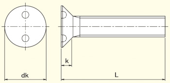 2-Hole Countersunk Security Machine Screw | Fastenright