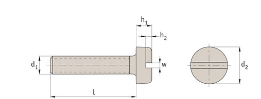 Titanium Slot Cheese Pan Head Screw (DIN 84) | Fastenright Ltd